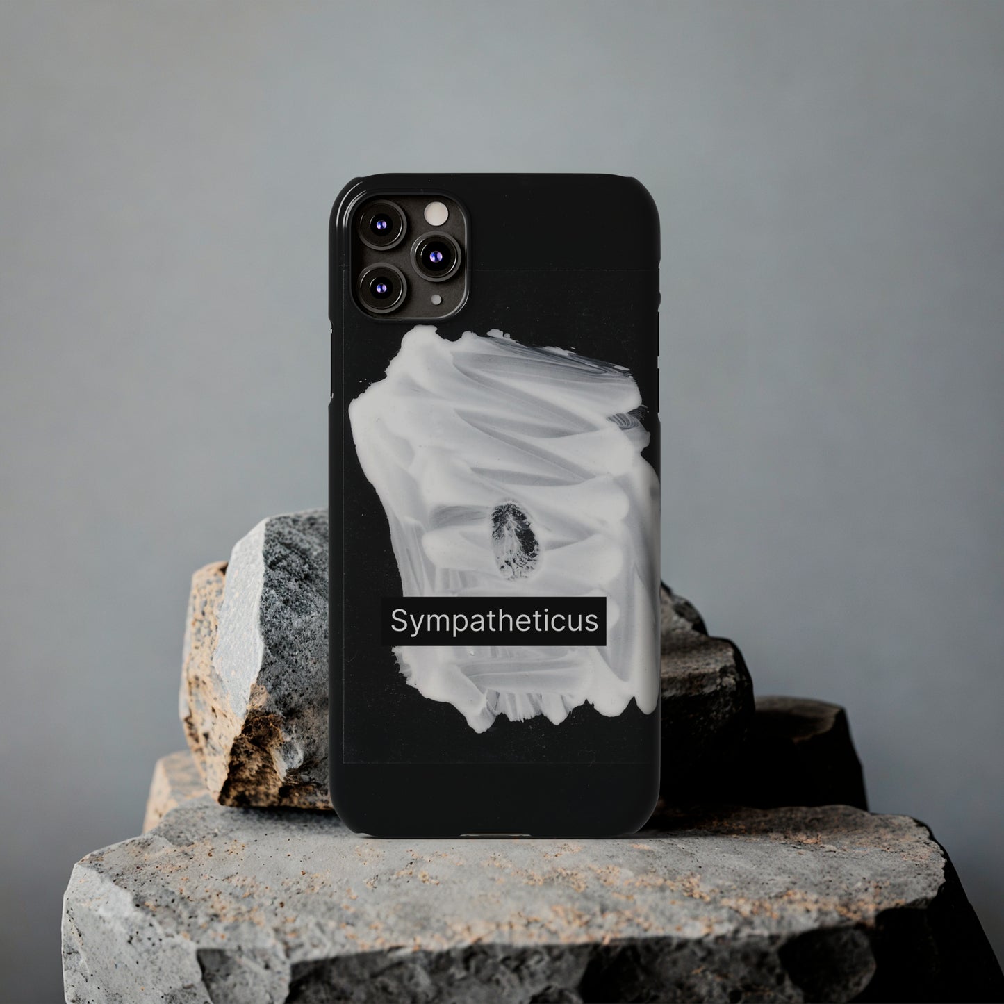 Iphone archive case-03
